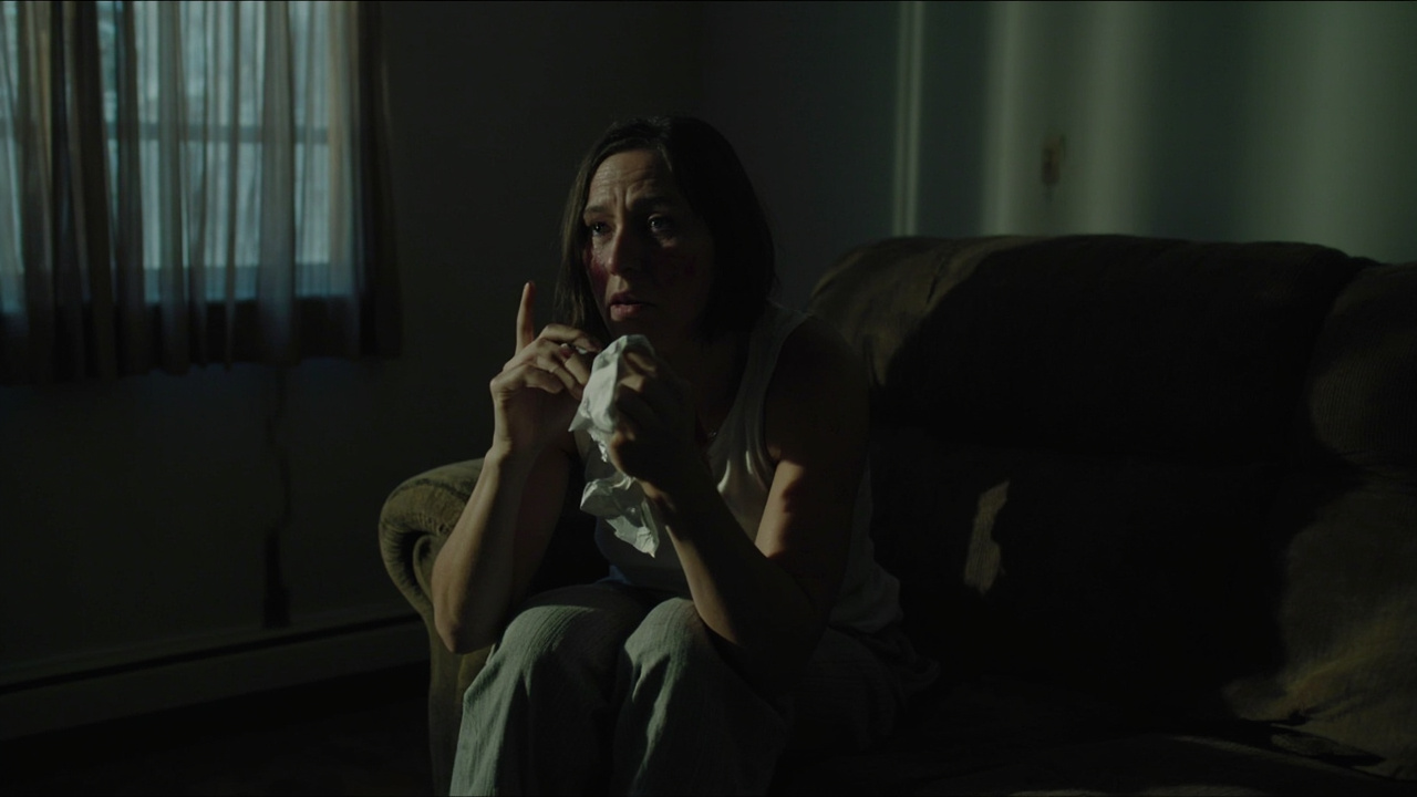 How We Trace Mold Sources and Restore Clean Indoor Air